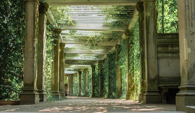Why a Steel Pergola Is a Great Investment for Your Home